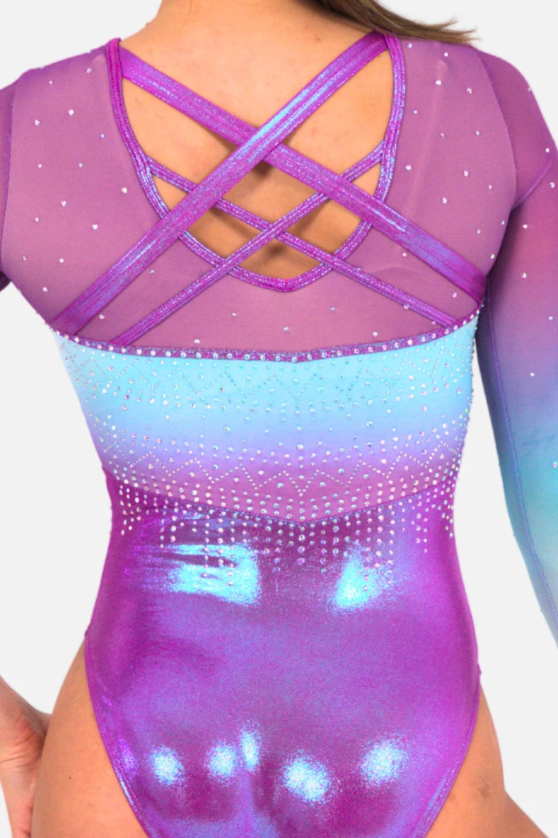 Heavenly Long Sleeve Leotard